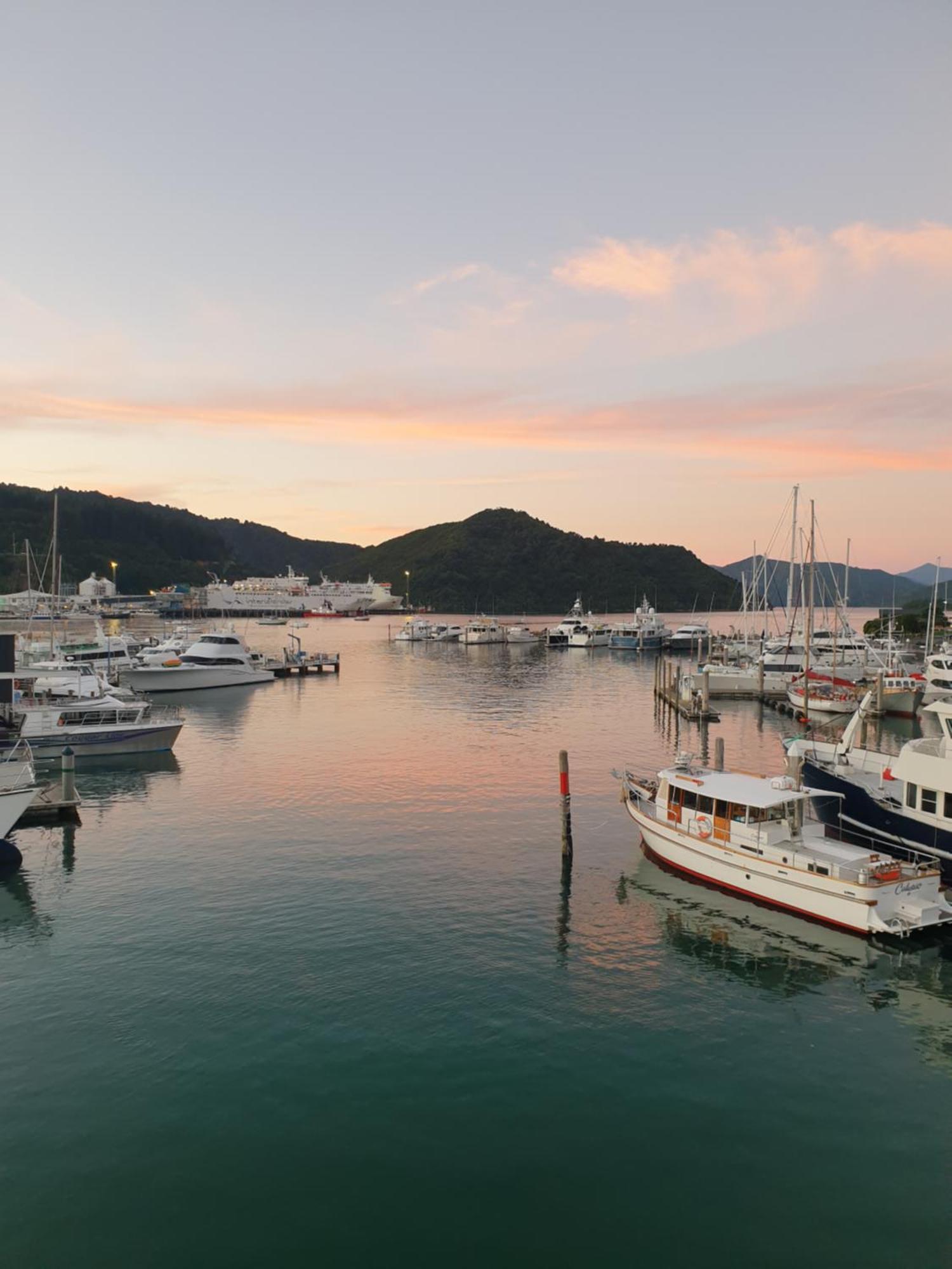 Enchanted Escape Picton Ngoại thất bức ảnh